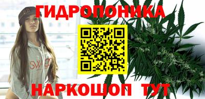 шишки Мариинск