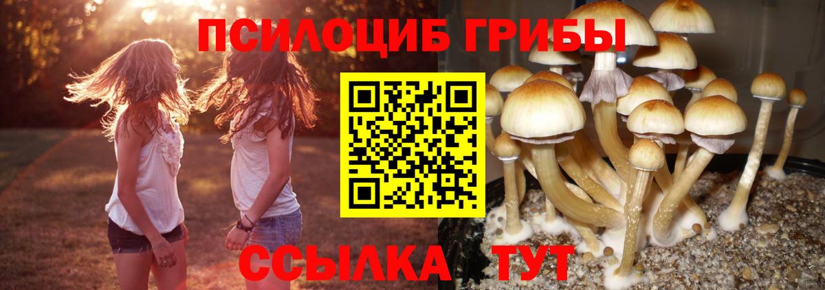 Галлюциногенные грибы мицелий  как найти закладки  Томск  Вход с VPN 