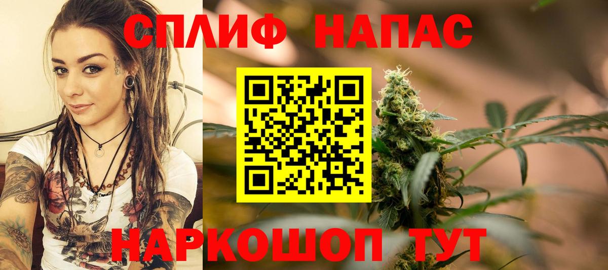 Канабис ГИДРОПОН Томск